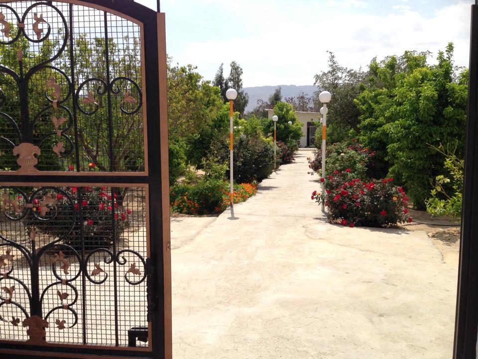 1461756_10201983353325723_5016722097445858054_n