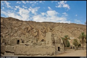 246571_355017957920478_872749119_n